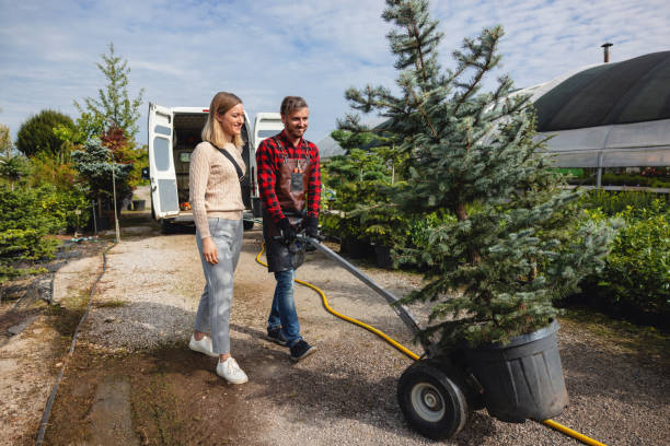 Best Palm Tree Trimming  in Traer, IA